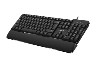 Клавиатура проводная Genius KB-100XP, черная (Black), USB, RU