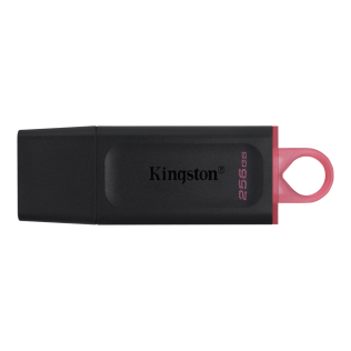 Флеш-накопитель Kingston 256GB USB 3.2 Gen1 DataTraveler Exodia (Black + Pink)