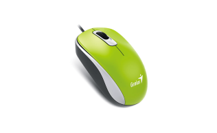 Genius Мышь DX-110, USB, G5, зелёная (green, optical 1000dpi, подходит под обе руки)
