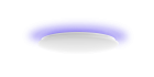 Умный потолочный светильник Yeelight Arwen Ceiling Light 450C YLXD013-B